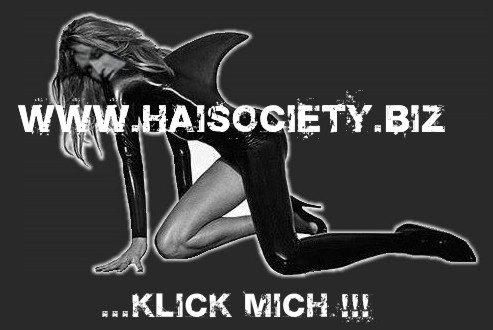 ...zur Haisociety